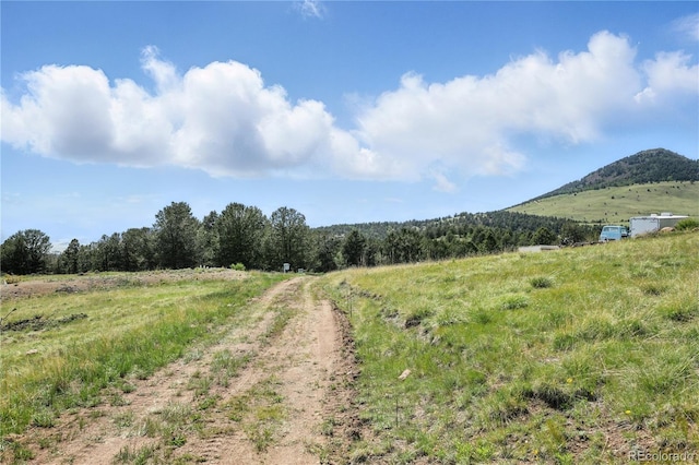 396 Stratton Cir, Cripple Creek, CO 80813 - photo 36