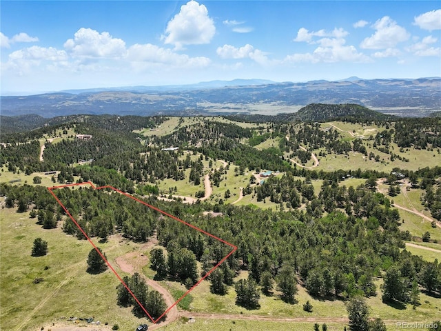 396 Stratton Cir, Cripple Creek, CO 80813 - photo 10