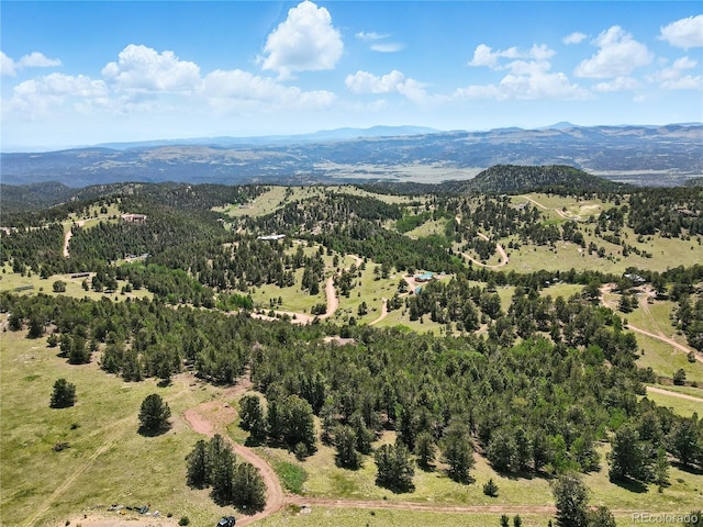 396 Stratton Cir, Cripple Creek, CO 80813 - photo 11