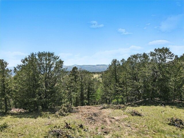 396 Stratton Cir, Cripple Creek, CO 80813 - photo 13