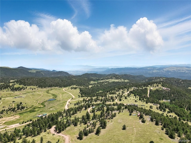 396 Stratton Cir, Cripple Creek, CO 80813 - photo 15