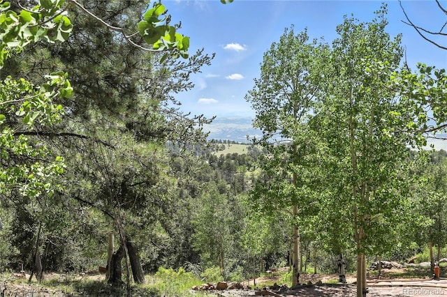 396 Stratton Cir, Cripple Creek, CO 80813 - photo 17