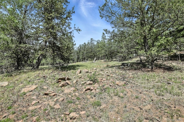 396 Stratton Cir, Cripple Creek, CO 80813 - photo 19