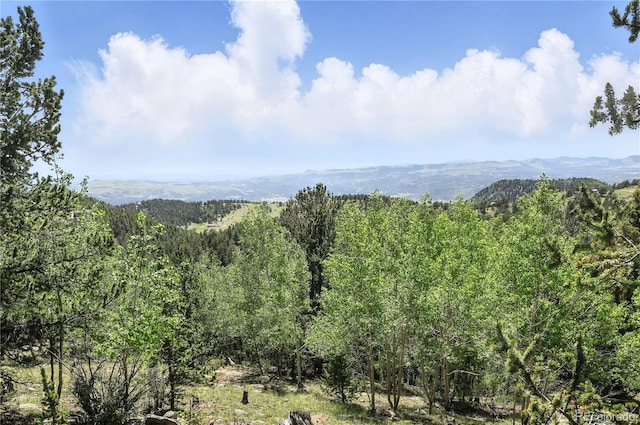 396 Stratton Cir, Cripple Creek, CO 80813 - photo 21