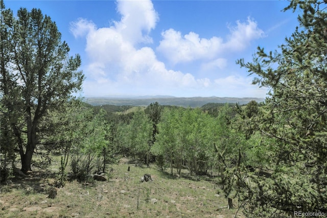 396 Stratton Cir, Cripple Creek, CO 80813 - photo 23