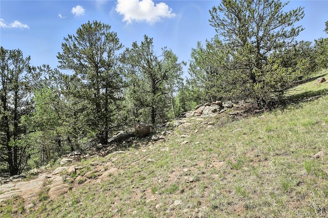 396 Stratton Cir, Cripple Creek, CO 80813 - photo 25