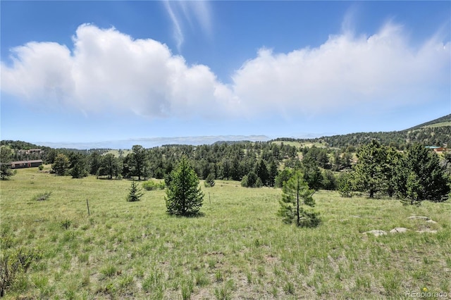 396 Stratton Cir, Cripple Creek, CO 80813 - photo 27