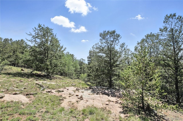 396 Stratton Cir, Cripple Creek, CO 80813 - photo 29