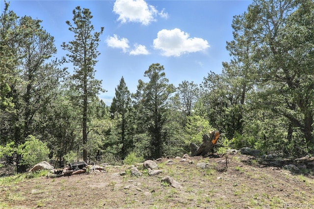 396 Stratton Cir, Cripple Creek, CO 80813 - photo 31