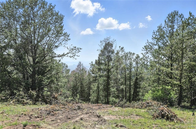 396 Stratton Cir, Cripple Creek, CO 80813 - photo 33