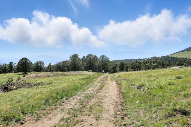 396 Stratton Cir, Cripple Creek, CO 80813 - photo 35