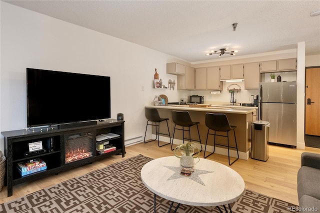 living room with light hardwood / wood-style floors