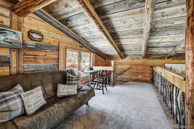 2585 County Road 12, Alma, CO 80420 - photo 18