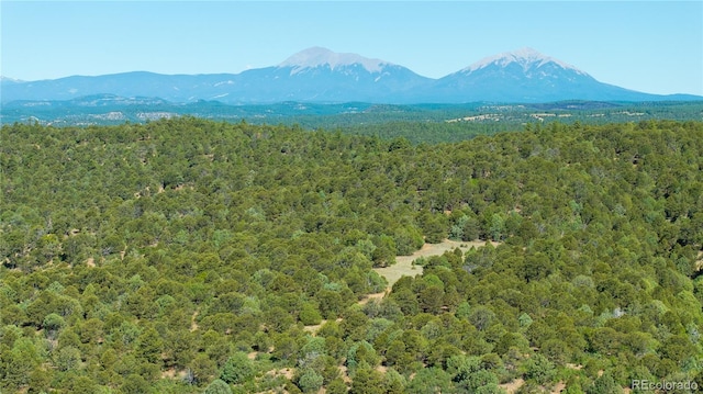 15536 Ponderosa Loop, Boncarbo CO, 81024 land for sale