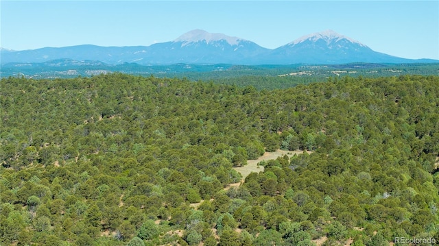 15536 Ponderosa Loop, Boncarbo, CO 81024 - photo 1