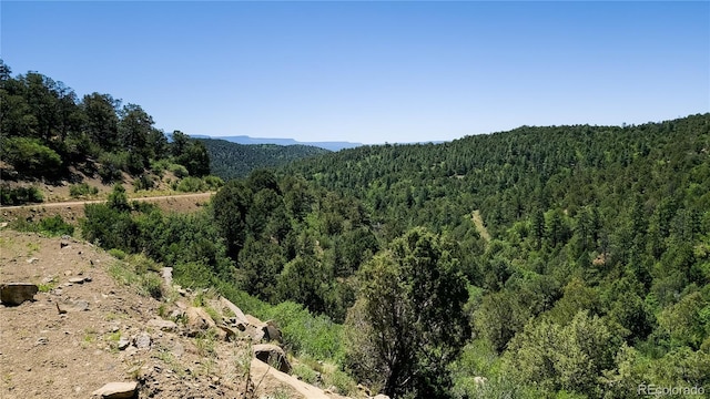 15536 Ponderosa Loop, Boncarbo, CO 81024 - photo 2
