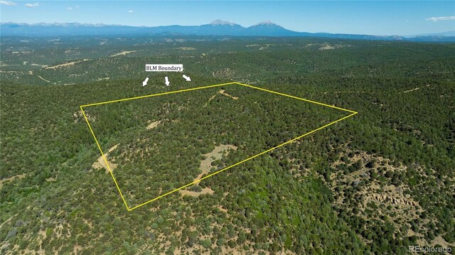 15536 Ponderosa Loop, Boncarbo, CO 81024 - photo 3