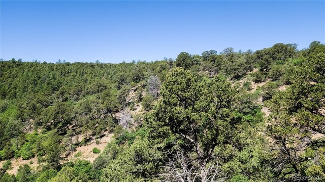 15536 Ponderosa Loop, Boncarbo, CO 81024 - photo 5