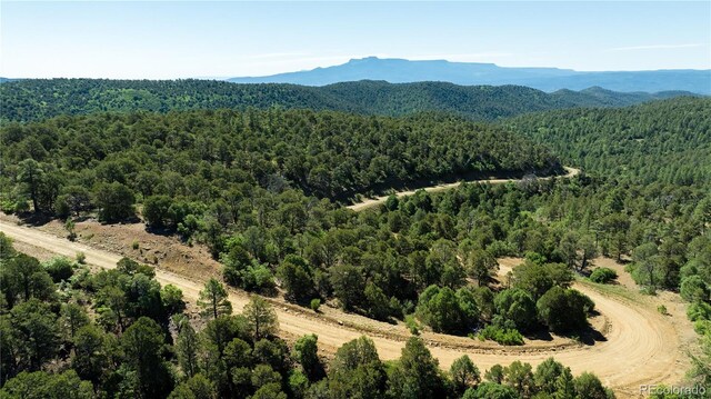 15536 Ponderosa Loop, Boncarbo, CO 81024 - photo 6