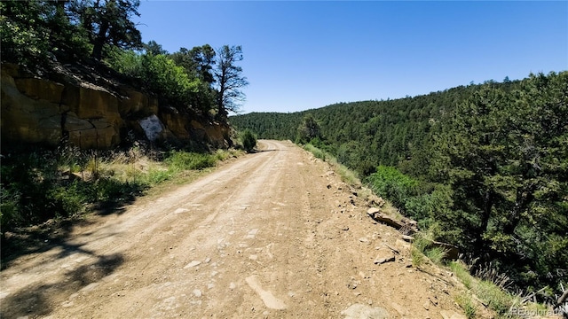 15536 Ponderosa Loop, Boncarbo, CO 81024 - photo 8