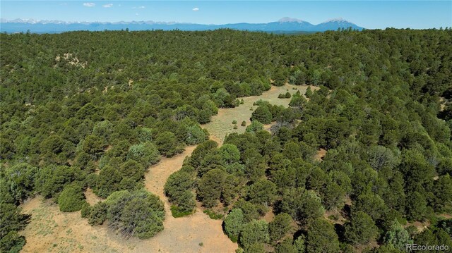 15536 Ponderosa Loop, Boncarbo, CO 81024 - photo 10