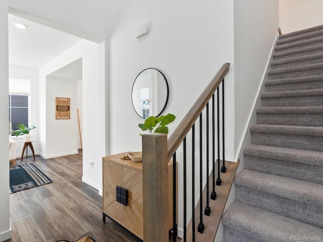 1649 Marquette Aly, Erie, CO 80516 - photo 4
