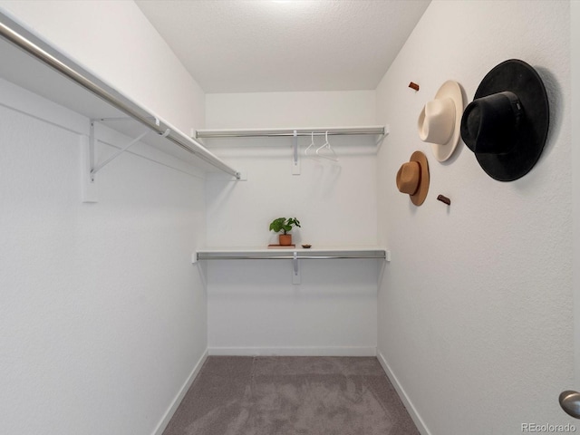 1649 Marquette Aly, Erie, CO 80516 - photo 26