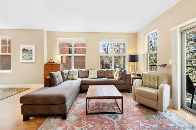1560 Milwaukee St Unit 240, Denver, CO 80206 - living area featuring wood finished floors and baseboards