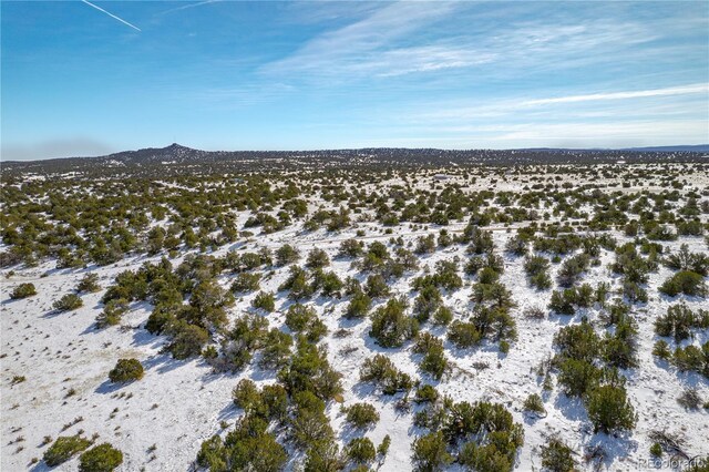 LOT817 Huajatolla Blvd, Walsenburg, CO 81089 - photo 5