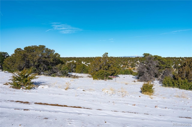 LOT817 Huajatolla Blvd, Walsenburg, CO 81089 - photo 13