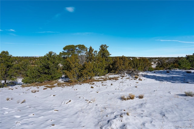 LOT817 Huajatolla Blvd, Walsenburg, CO 81089 - photo 14