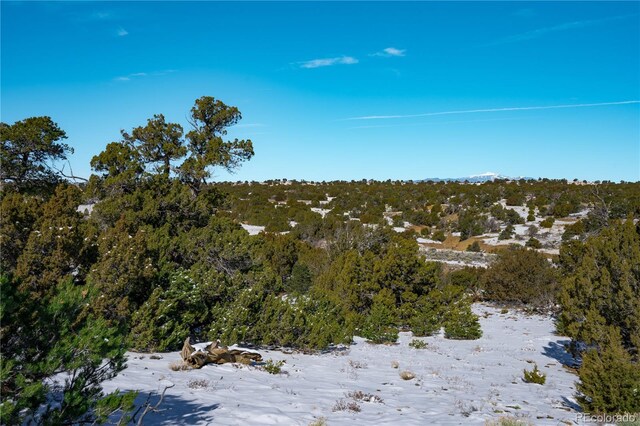 LOT817 Huajatolla Blvd, Walsenburg, CO 81089 - photo 15