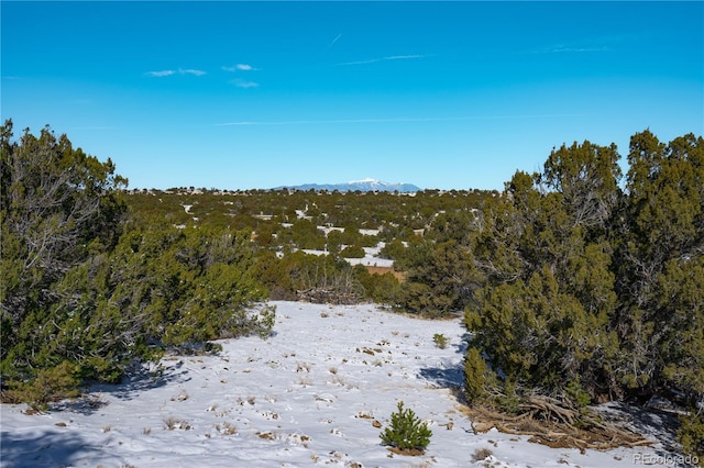 LOT817 Huajatolla Blvd, Walsenburg, CO 81089 - photo 17
