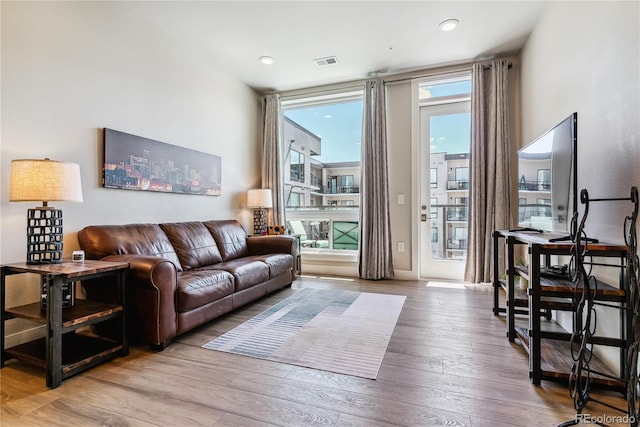 living room featuring hardwood / wood-style flooring and plenty of natural light