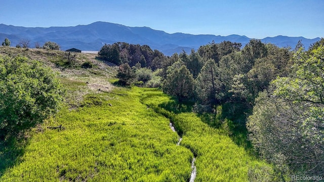 236 Boreen Way, Howard, CO 81233 - mountain view