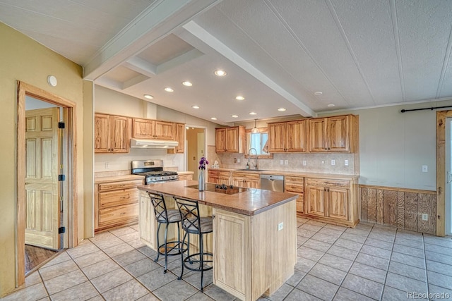 236 Boreen Way, Howard, CO 81233 - kitchen featuring stainless steel appliances, a sink, a kitchen breakfast bar, a center island, and under cabinet range hood