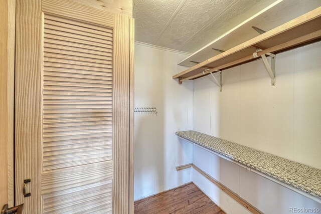 236 Boreen Way, Howard, CO 81233 - walk in closet featuring wood finished floors