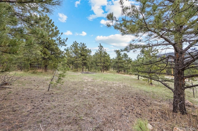 6068 S Skyline Dr, Evergreen, CO 80439