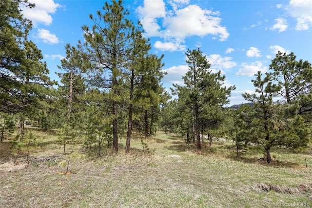 6068 S Skyline Dr, Evergreen, CO 80439