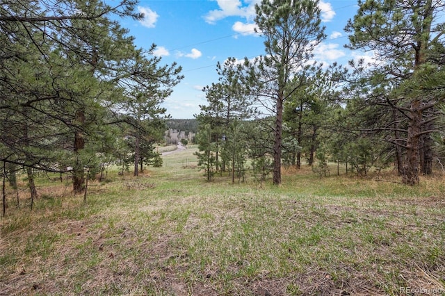 6068 S Skyline Dr, Evergreen, CO 80439