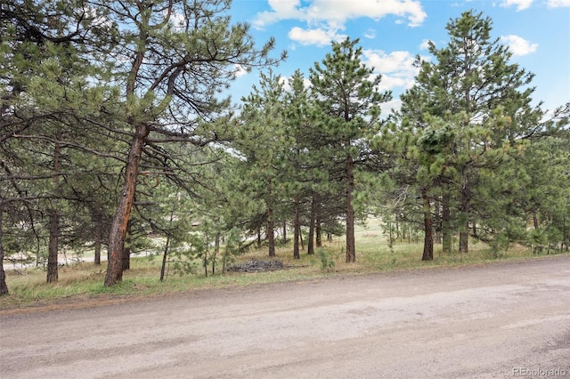 6068 S Skyline Dr, Evergreen, CO 80439