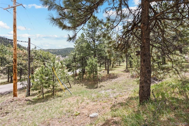 6068 S Skyline Dr, Evergreen, CO 80439