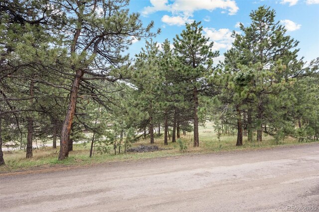 6068 S Skyline Dr, Evergreen, CO 80439 - photo 12