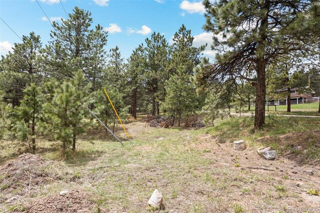 6068 S Skyline Dr, Evergreen, CO 80439 - photo 16