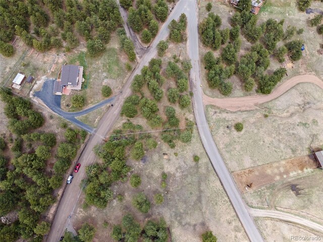 6068 S Skyline Dr, Evergreen, CO 80439 - photo 29