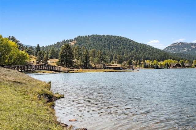 6068 S Skyline Dr, Evergreen, CO 80439 - photo 34