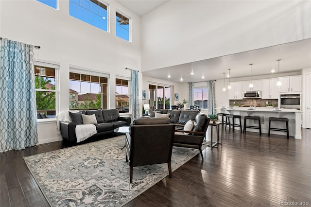 19894 W 94th Ln, Arvada, CO 80007 - living area featuring dark wood-type flooring, plenty of natural light, and a high ceiling