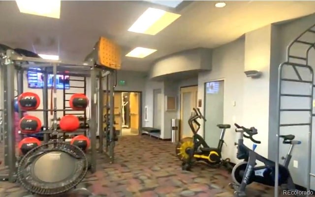 workout area featuring carpet floors