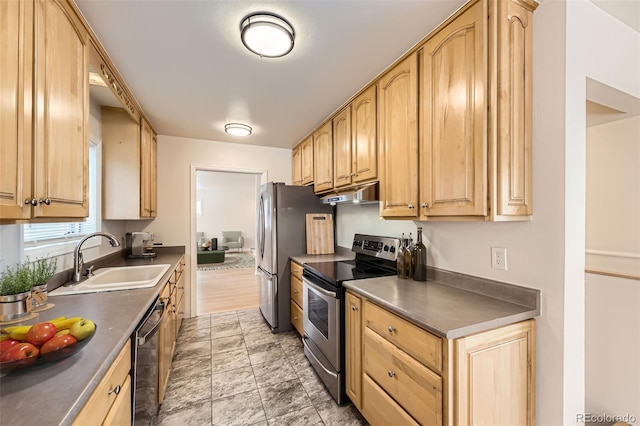 6537 Everett St, Arvada, CO 80004 - photo 7
