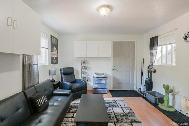 living room featuring plenty of natural light and dark wood-type flooring